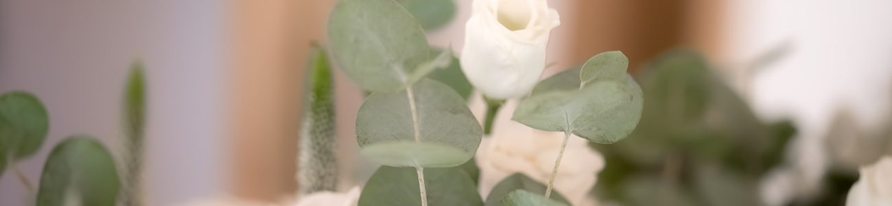 Estudio en Torres de la Alameda